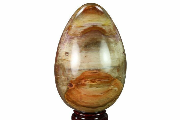Colorful, Polished Petrified Wood Egg - Madagascar #172774